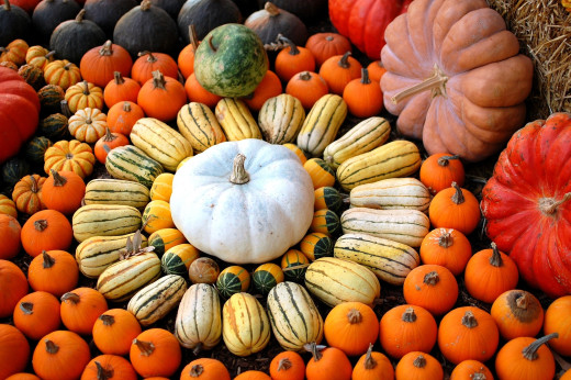 287562 (a): :2500x1660
